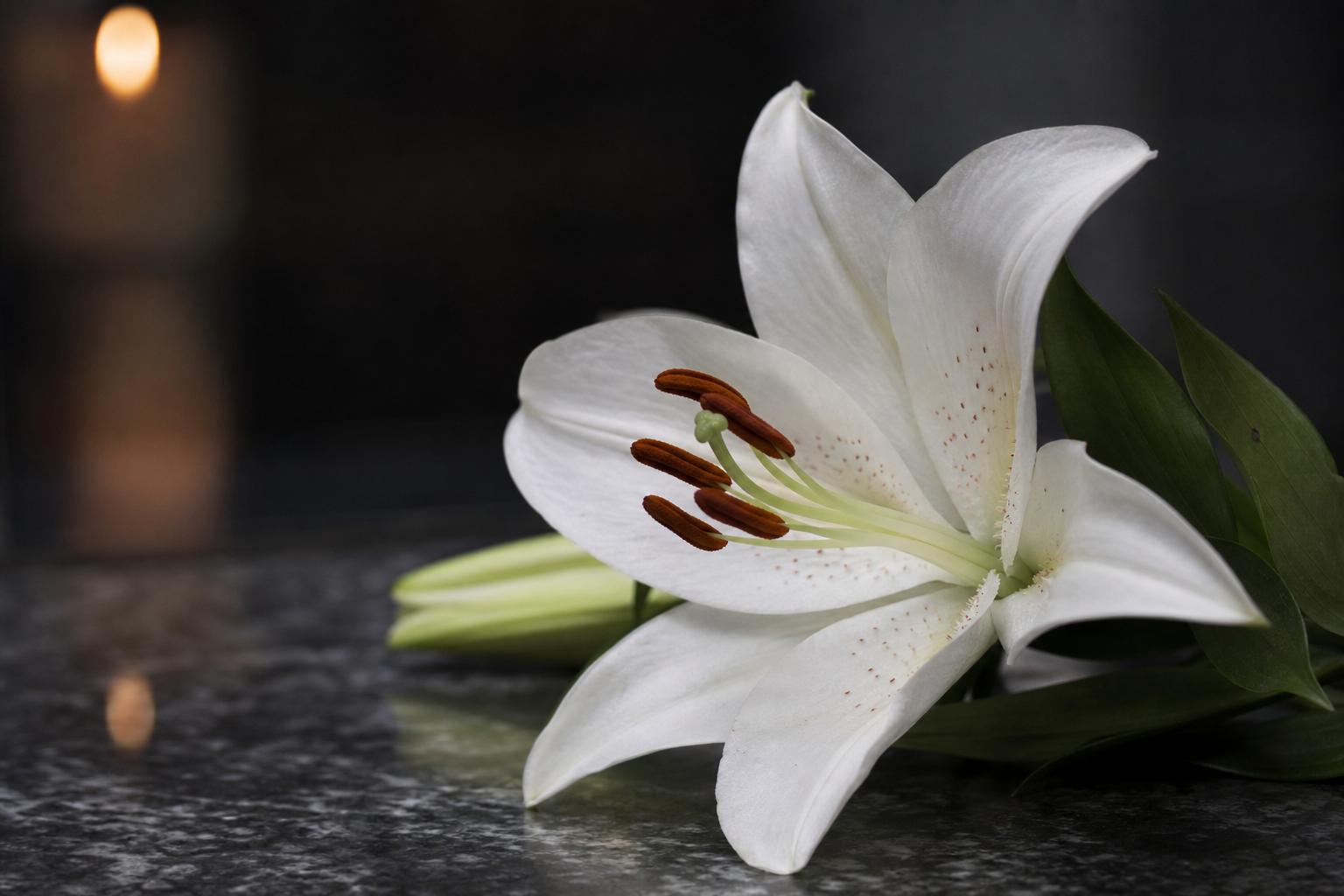 Sudbury Obits: How to Find, Write, and Share Meaningful Obituaries in Greater Sudbury
