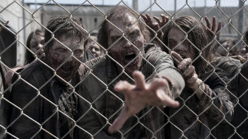 Walking Dead in Canada: How The Walking Dead Captivated Us—Where to Watch, What to Know, and Why It Still Matters