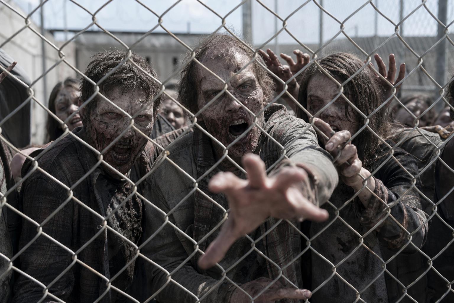 Walking Dead in Canada: How The Walking Dead Captivated Us—Where to Watch, What to Know, and Why It Still Matters